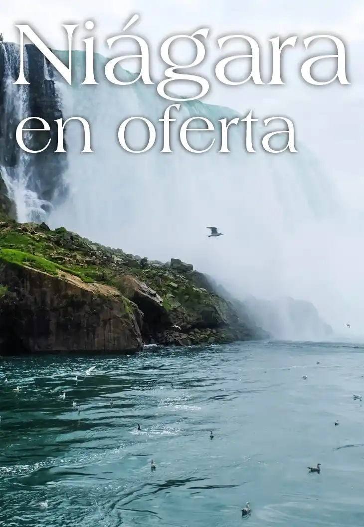 NIAGARA EN OFERTA